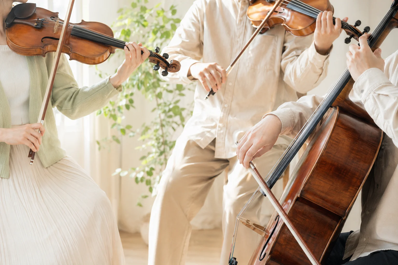 弦楽器と若葉をやさしい色で描いた団員募集用イラスト